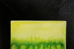 20200493.jpg